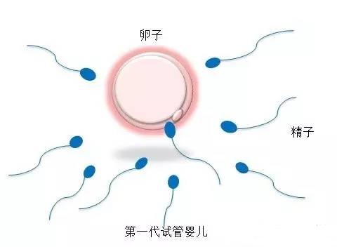 冷冻储存